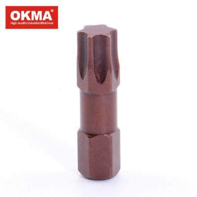 China Customized screw setter bit+security torx screwdriver bit t 30